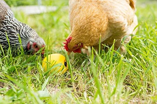 Lixit® Chicken Feeder Treat Ball Toy - Chicken Coop Peck Toy - Chick Slow Feeder and Enrichment Ball (Yellow, 1 Pack)