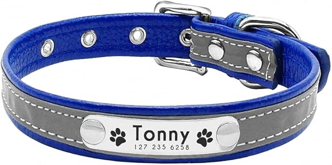 Reflective Dog Collar Personalized Pet Dog Collars Leather Padded Dogs Collar for Small Medium Dogs Chihuahua Yorkie Blue M