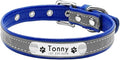 Reflective Dog Collar Personalized Pet Dog Collars Leather Padded Dogs Collar for Small Medium Dogs Chihuahua Yorkie Blue XS