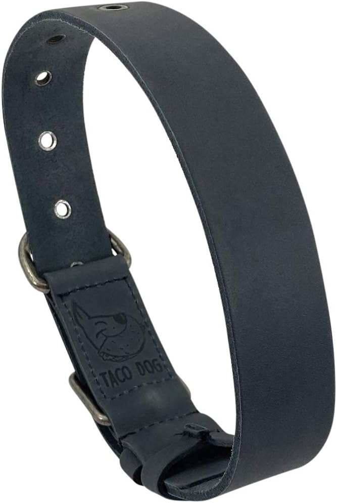 Taco Dog, Thick Leather Dog Collar Handmade from Full Grain Leather - Comfy Pet Collar for Medium Size Dog (12 to 21 Inches) Dog Lover Gift (Charcoal Black)