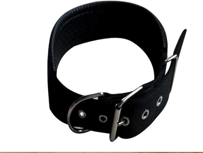 Color Foam Pet Collar Buckle Sponge Adjustable Foam Dog Neck Strap Nylon Pet Basic Collar