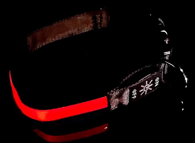 Glow Fetch It! HD Ultra Bright LED Safety Dog Collar, Adjustable, USB Rechargeable with 3 Modes, Water Resistant, Extremely Durable and Easy to Clean (Red, Medium)
