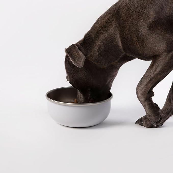 DIGGS Crate Bowl for Dogs - Clip on Pet Bowl for Water & Food - Puppy Training Necessities - Spill-Resistant, Universal Dog Crate Accessories (38oz.)