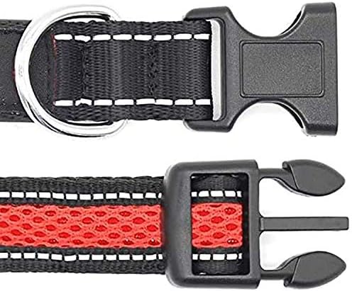 LED Dog Collar (L (53 60cm), Red) - USB Rechargeable Pet Collar Glows with Night Safety LEDs, Lights Up with Nylon Tape and Reflective - Perfect for Small, Medium and Large Dogs by The Small Moment