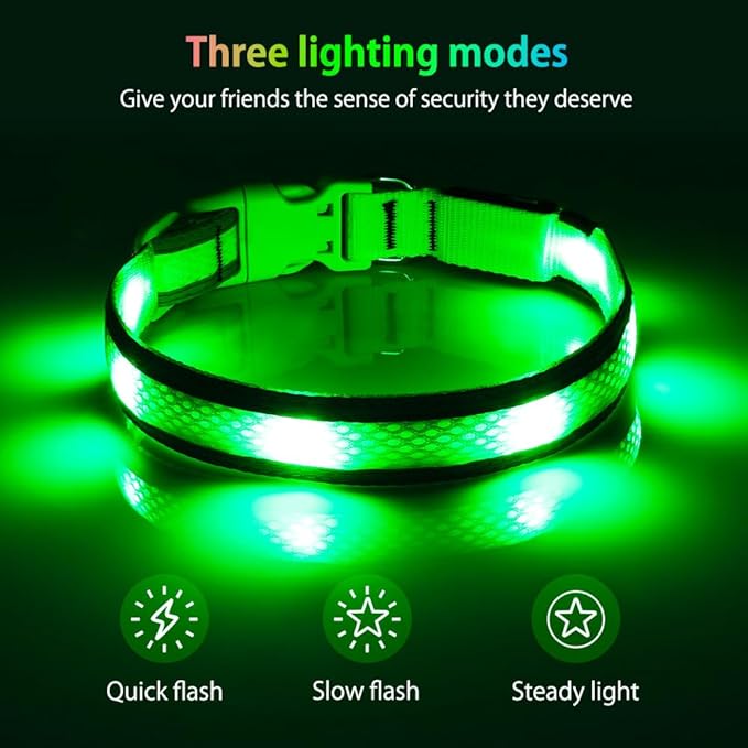 Illumifun Light Up Dog Collar - USB Rechargeable LED Dog Collar Glow in The Dark - High Visibility Glow Collar for Night Walking (Small, Fluorescent Green)