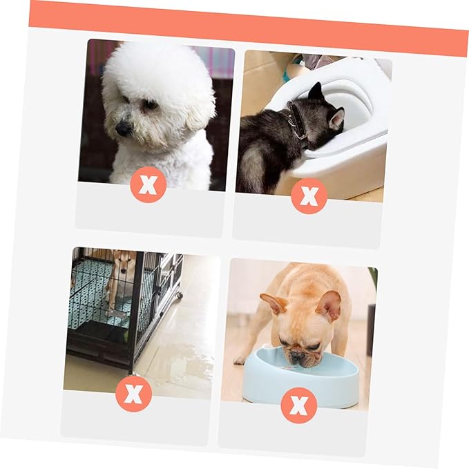 Mipcase Safe Material Pet Water Fountain Dog Cat Bowl Automatic Feeder No Smell Easy to Clean