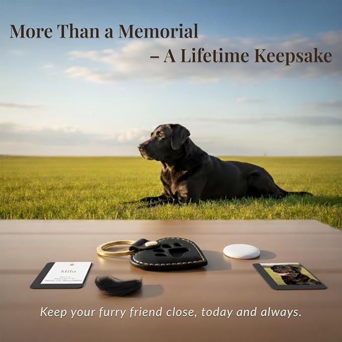 Pet Memorial Keychain – Heart Leather Keepsake for Dog & Cat Lovers, Single & Gift Set, Paw Print Heart