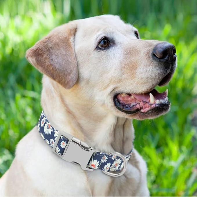 Custom Dog Collar Nylon Floral Engraved Pet Puppy Collar Print Personalized Name Collars for Small Medium Large Dogs Pitbull Blue 5 S