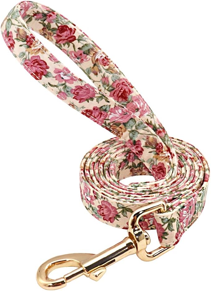 Personalized Floral Dog Collar and Leash Set Custom Small Medium Large Dog Pet ID Collar Lead Flower Print Dog Engraved Collars Beige Leash L