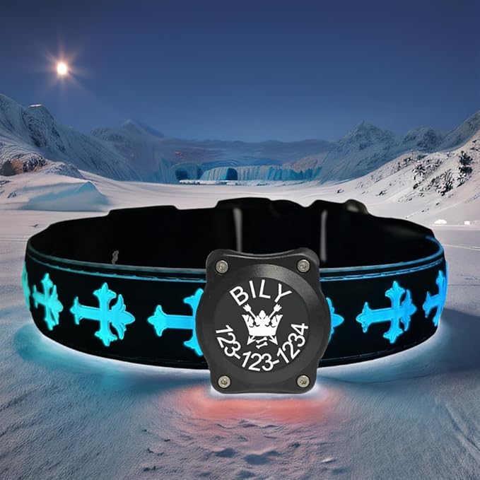 Personalized USB-C led Light up Dog Collar with Airtag Holder, IP68 Waterproof,15 Modes Changing Multicolored Lighting (Black, M(11.8-15.7"))