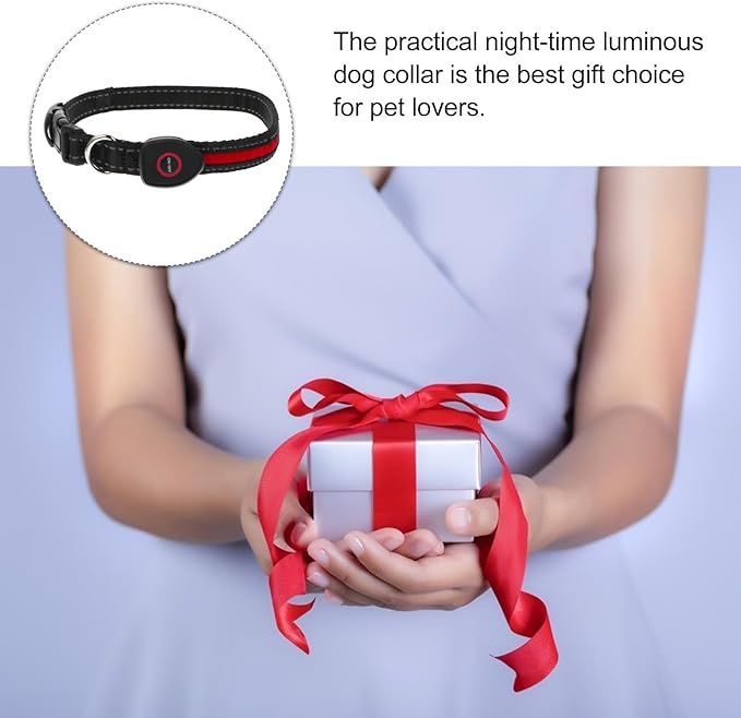 VALICLUD Rechargeable LED Pet Collar 50cm Red Luminous Dog Collar with USB Charging 3 Flashing Modes for Medium Dogs Like Small Breed Golden Retriever Bichon