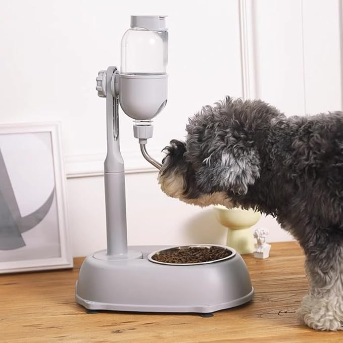 500ml Pet Standing Water Dispenser Bowl, Food Feeder Bowl with Detachable Pole Automatically Feeding Water Food Grade PP