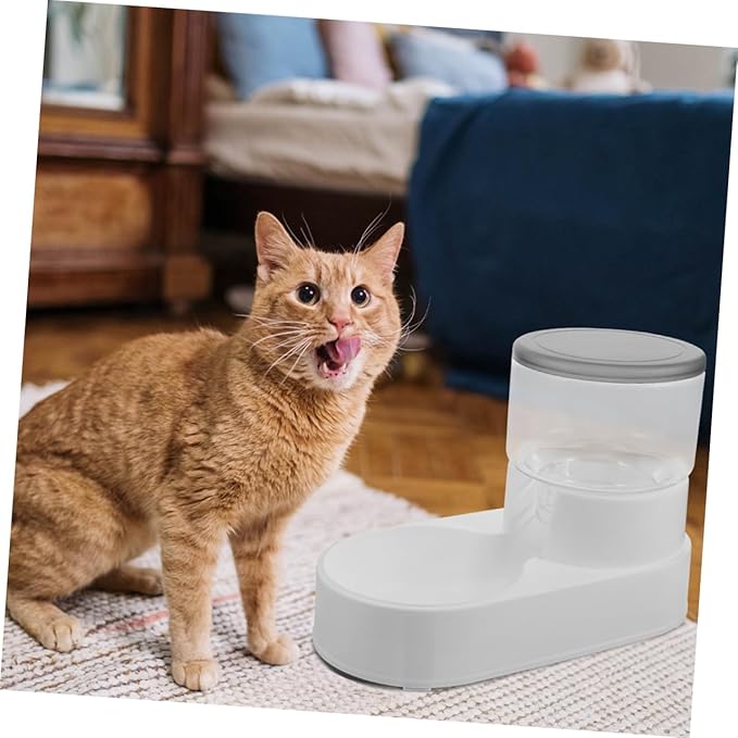 POPETPOP 2pcs Automatic Cat Feeder and Water Dispenser Dog Feeder Bowl Self-Filling for Cats and Dogs Pet Dispenser Pet Water Container