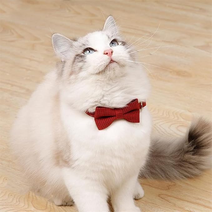 Lovely Pet Collar Adjustable Wear-Resistant Nylon Bow-Knot Design Puppy Necklace for Daily Life Adjustable Cats Necklace (Khaki)