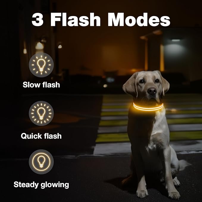 LED Dog Collar, Light Up Dog Collar, Lighted Dog Collars Adjustable for Night Walking, Glow in The Dark Dog Collars Light with USB Rechargeable Color Changing Waterproof for Dogs (Orange, Small)