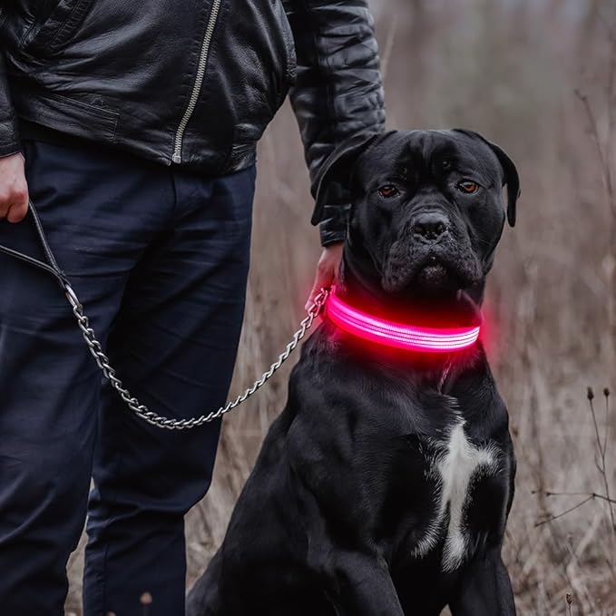 LED Dog Collar, Rechargeable Light Up Dog Collars, Reflective Safety Collar Light for Dogs Glow in The Dark (Pink, M)