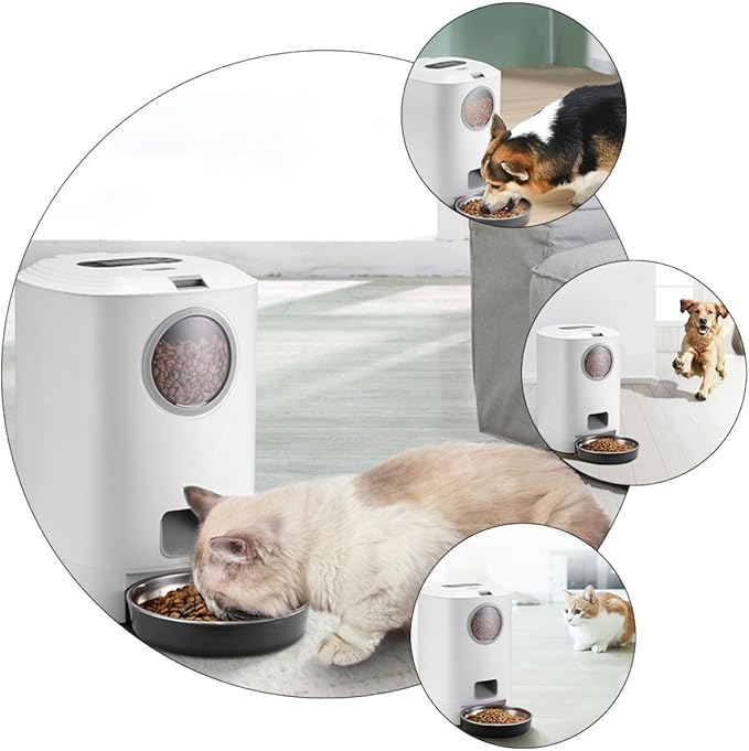 Smart Automatic Pet Feeder for Cats and Dogs, Programmable 4-Meal Dry Food Dispenser with Voice Recording, Timer Portion Control, Compatible with Dry Food, Suitable for Home Use