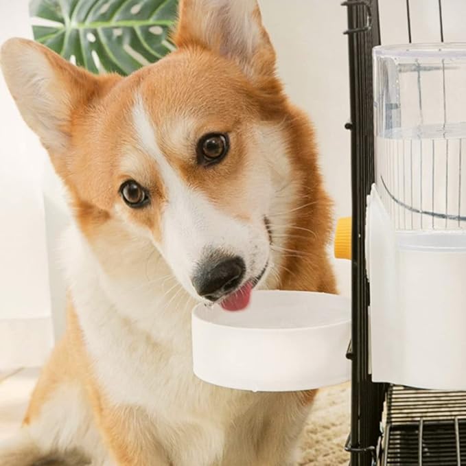 Automatic for Feeder Water Dispenser 1000ml Large Capacity for Small Medium Large Dog Pets Puppy Kitten Easy to Use