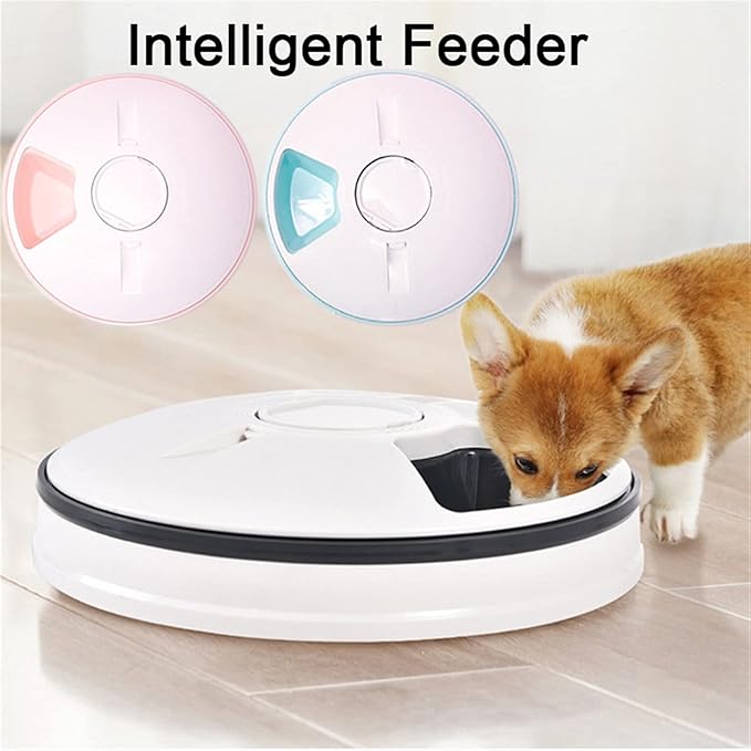 Massage cushion Pet Automatic Feeder Portion Control al Timer Detachable Dogs Cats Anti Slip 6 Meal Trays with Voice Recorder Dry Wet Food (Color : Green) (Pink)