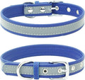 Reflective Small Dog Collar Safer at Night Girl Cat Collars Blue XS