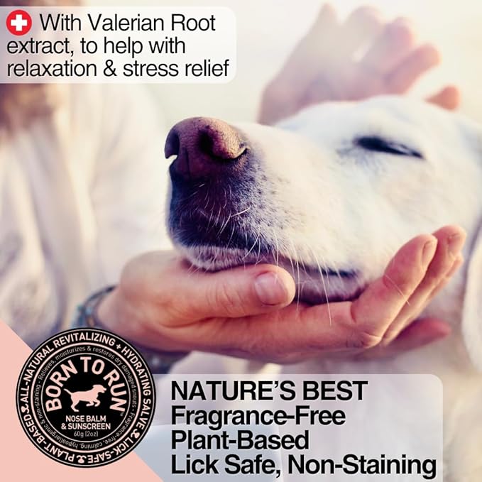 Born To Run Dog Nose Balm | Natural Snout Soother & Cold Wind Sun Protection | Moisturizes & Heals Dry Cracked Chapped Noses | Fragrance-Free Hyperkeratosis Relief Plant-Based Lick Safe Nose Cream 2oz