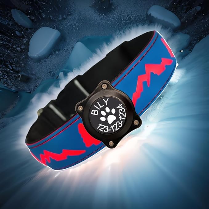 Personalized Light up Dog Collars Rechargeable with Waterproof airtag Holder for Black Dog Night Walking (Blue Collar 15 Modes Lighting, M(11.8-15.7"))