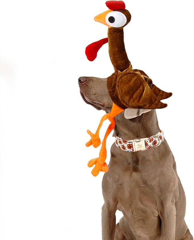 Elegant little tail Thanksgiving Dog Collar, Turkey Print Pet Collar Dog Durable Cute Dog Collars Winter Holiday Male or Female Pet Gift Adjustable Dog Collar for Medium Dogs