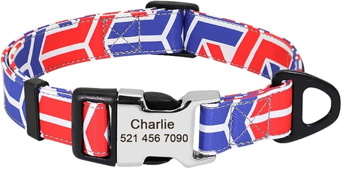 Personalized Dog Collar Nylon Print Dog Collars Customized Puppy Pet Collar Engraved Name ID for Small Medium Large Big Dogs Pug 160 Blue M