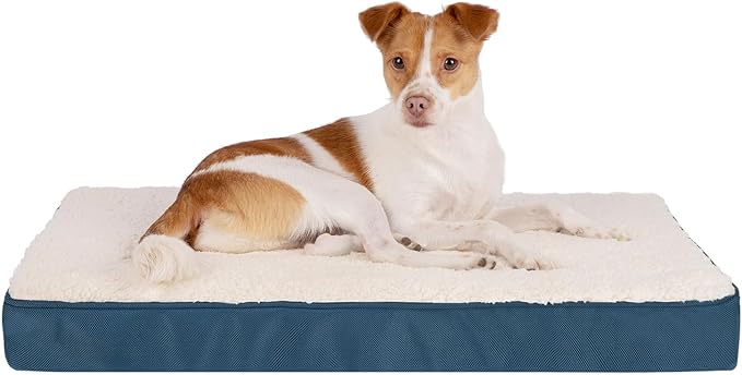 Best Pet Supplies Dog House Bed Crate Mat Tent Indoor Round Soft Plush for Small, Medium, and Large Breeds - Blue, 41 x 29 x 4