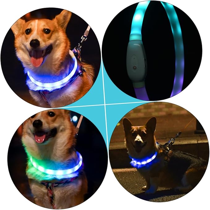 VICASKY 1set USB Rechargeable Night Glowing Led Dog Collar Cuttable Pet Collar for Safety Comfortable Wear for Outdoor Use