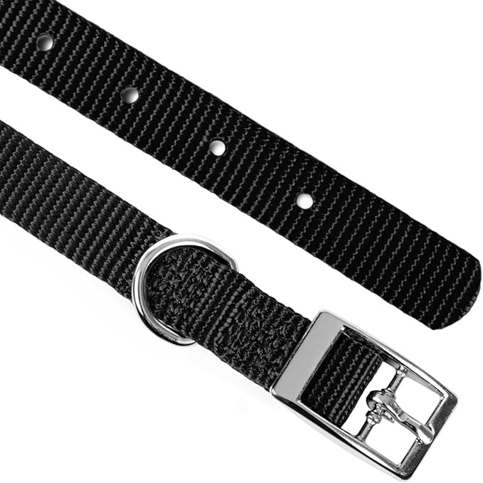 Jeffers Pet Solid Nylon Dog Collars, Black, 5/8" Wx14 L – Adjustable, Durable & Safe for Dogs, Lightweight & Double Ply Design, Stylish Pet Accessories - Perfect for Training, Walking & Tracker