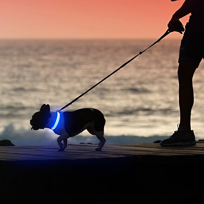 Illumifun LED Dog Collar - USB Rechargeable Dog Light Up Collar, Reflective Pet Collar Light Glow in The Dark (BlueⅢ, Medium)