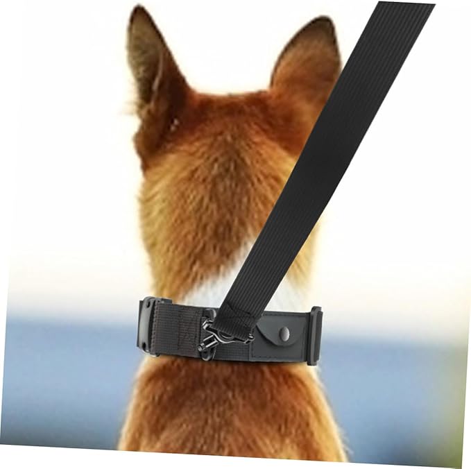 Generic 2Pcs Adjustable Dog Protective Collar with Buckle Comfortable Pet Positioning Collar for Dogs Anti-Lost Safety Gear for Outdoor Use