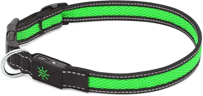 LED Dog Collar - USB Rechargeable Pet Collar Glows Brightly with Night Safety LEDs, Lights Up with Nylon Tape and Reflective, Perfect for Small Medium Large Dogs (M (Medium [43.5-50cm]), Green)