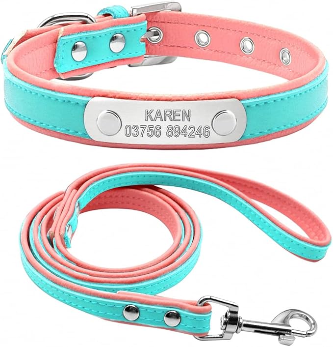 Personalized Dog Collar and Leash Padded Adjustable Customized Pet Collars and Leashes for Small Medium Dogs Cats Chihuahua Blue S