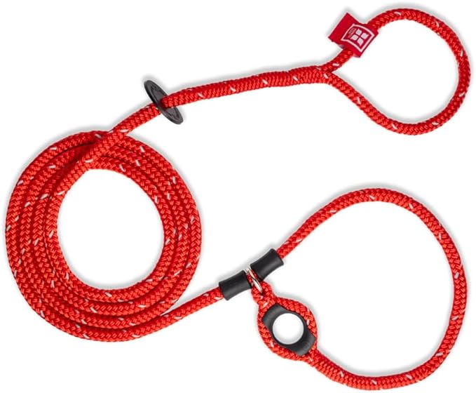 Harness Lead No Pull Dog Harness and Leash Set, Anti Pull Dog Harness, One-Piece Cushioned Rope Safely Prevents Escaping and Pulling *New Insert is Removable (Small/Medium, Red/Reflective)