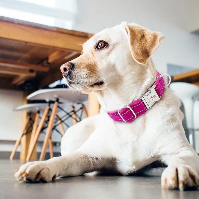 Dog Collar Personalized Reflective Large Dog Collars Nylon Adjustable Costomized Collar for Small Medium Big Dogs Pet Pitbull Rose Red L