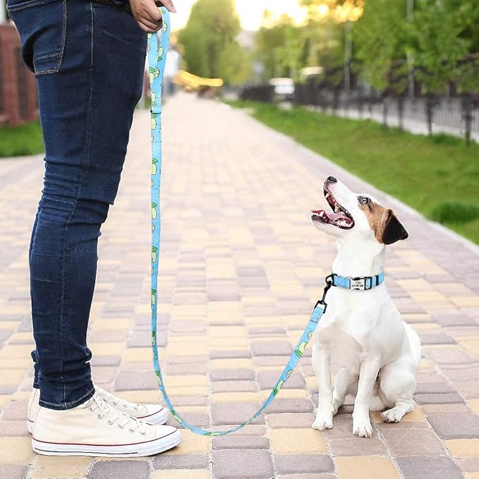 Cute Custom Dog Collar Leash Personalized Fruit Print Nylon Dog Collar Lead Engraved Name ID for Small Medium Large Dog Pitbull 159 Blue Set S
