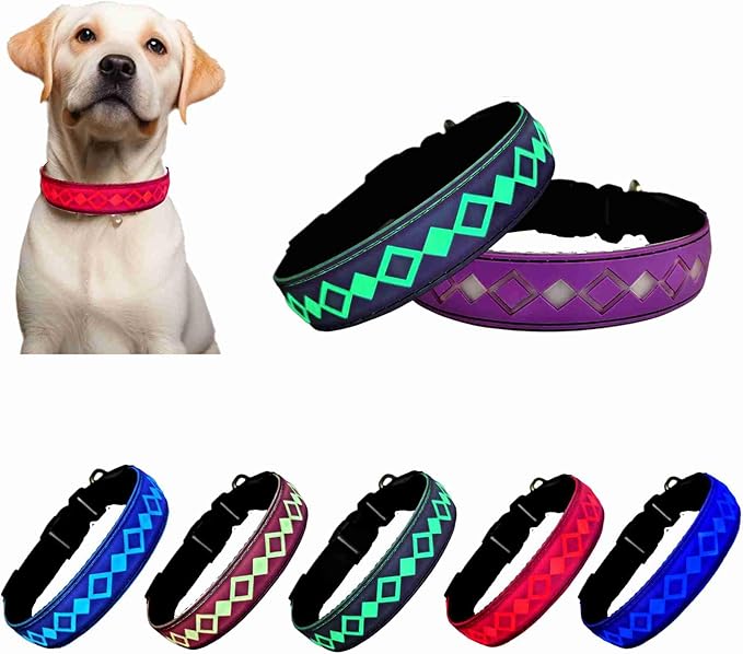 Personalized Flashing Night Dog Collar with Waterproof airtag Holder for Black Dog Night Walking (Purple, M(11.8-15.7"))