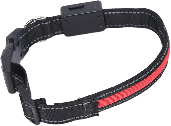 Light Up USB Rechargeable LED Dog Collar Adjustable Glow in Dark Safety for Nighttime Walking Camping Large Size