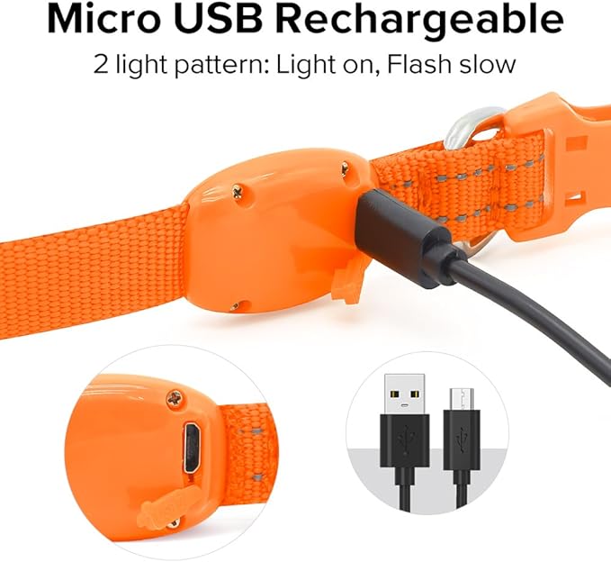 Candofly Light Up Dog Collar, USB Rechargeable Glowing Puppy Collar, Dog Camping Essentials - LED Collars for Night Walking (X-Small, Orange)