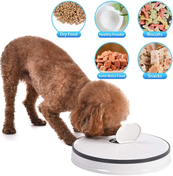 Pet Automatic Feeder Cats Dogs,Timed Feed 6 Meal Trays Dry Wet Food Dispenser with Voice Remind,LCD Smart Programmable Self Feeder,Dishwasher Safe,Gray