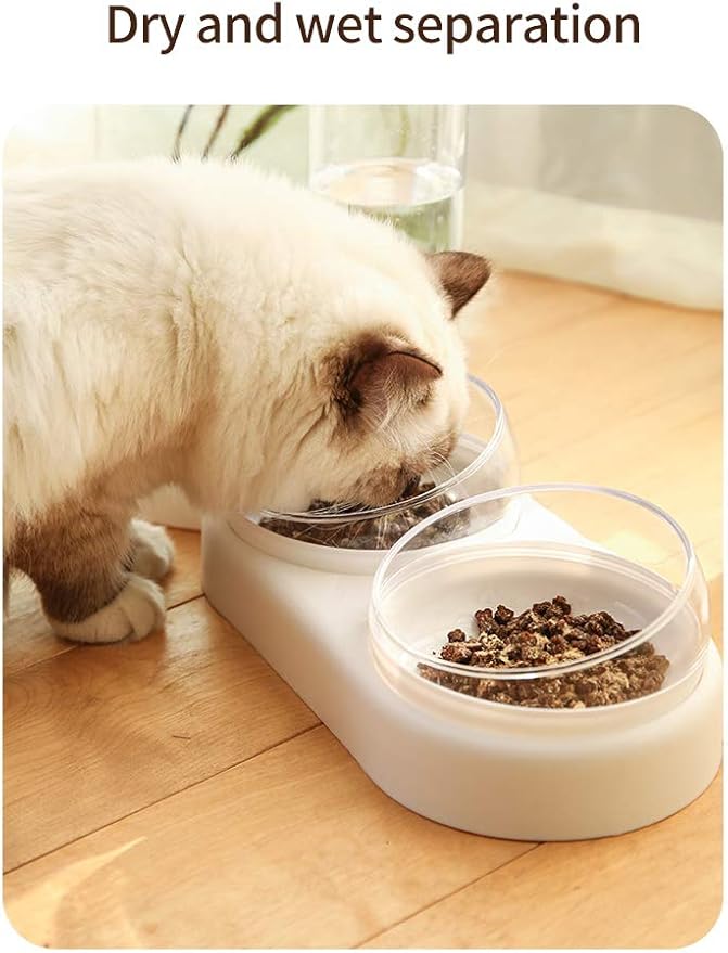 Pet Cat Bowl Automatic Dog Food with Water Fountain Double Drinking Raised Stand Dish Bowls for Cats(Green)