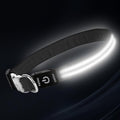 LED Dog Collar with Metal Buckle - USB Rechargeable Glow Collar for Dogs, Waterproof Light Up Dog Collar w/Reflective Strips - Adjustable Night Safety Collars by PetIsay(White,Medium)