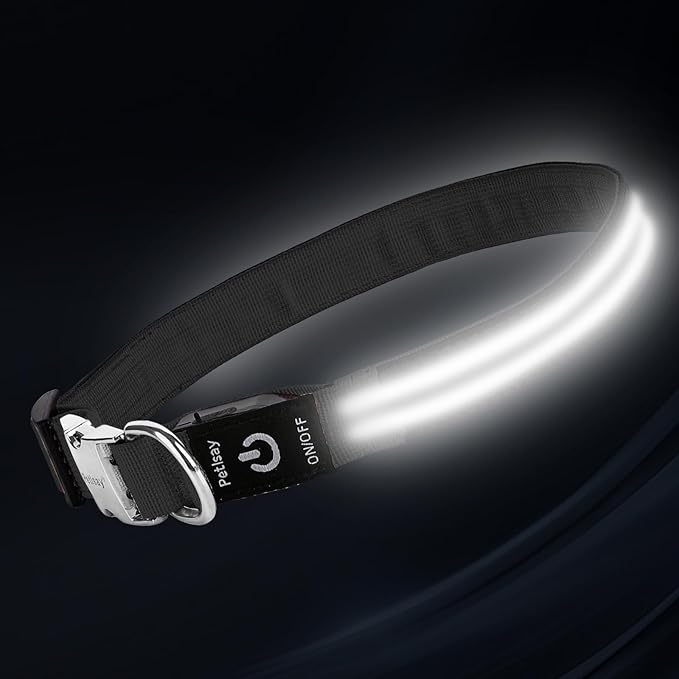 LED Dog Collar with Metal Buckle - USB Rechargeable Glow Collar for Dogs, Waterproof Light Up Dog Collar w/Reflective Strips - Adjustable Night Safety Collars by PetIsay(White, S)