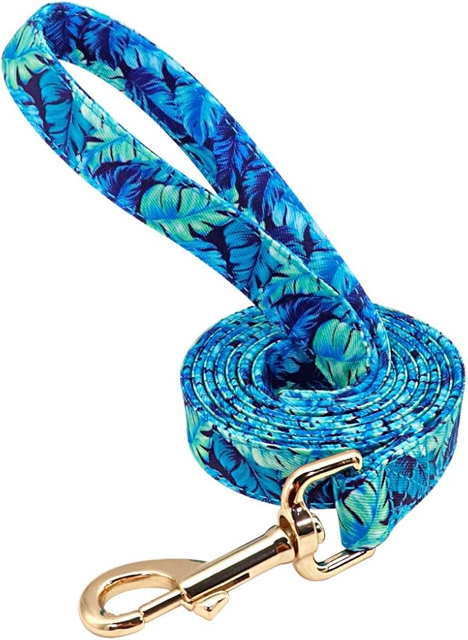 Personalized Floral Dog Collar and Leash Set Custom Small Medium Large Dog Pet ID Collar Lead Flower Print Dog Engraved Collars Blue Leash M