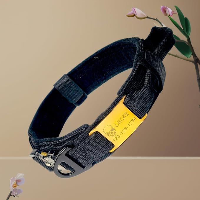 Personalized Tactical Dog Collar with Handle, Military Style, Adjustable (Black, M(15-18.9"))