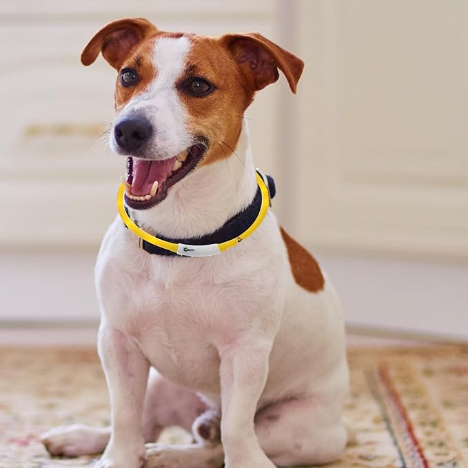 LED Rechargeable Silicone Dog Collar, Glow Luminous Pet Neck Belt, Wear-Resistant Adjustable Yellow Collar for Outdoor Safety, Size L