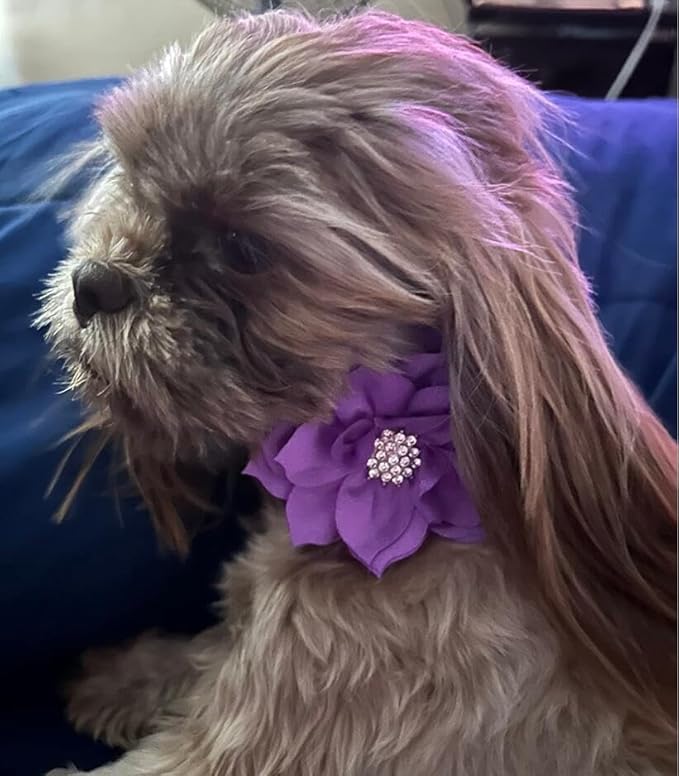 Rhinestone Dog Collar, Cute Dazzling Sparkling Soft Suede Leather Dog Cat Rhinestone Collar Crystal Diamond Pet Dog Puppy Collar (Purple6, M), Medium