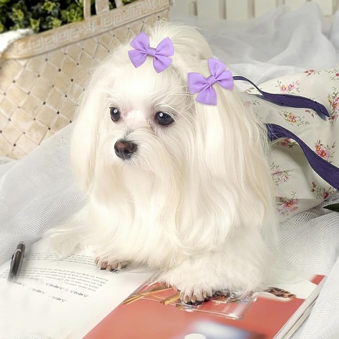 Solid Color Dog Bows Clips, Bulk 40pcs Dog Hair Bows with Metal Clips for Small Medium Dogs Ribbon Material, Mix Handmade Puppy Doggie Barrettes for Dog Hair Grooming Accessories